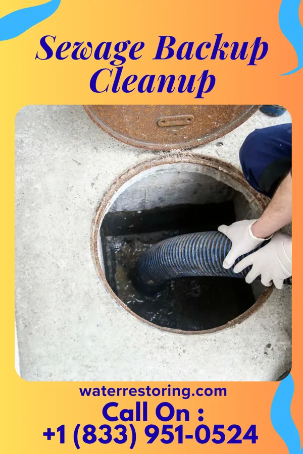 Sewage Backup Cleanup in Stevensville, MI