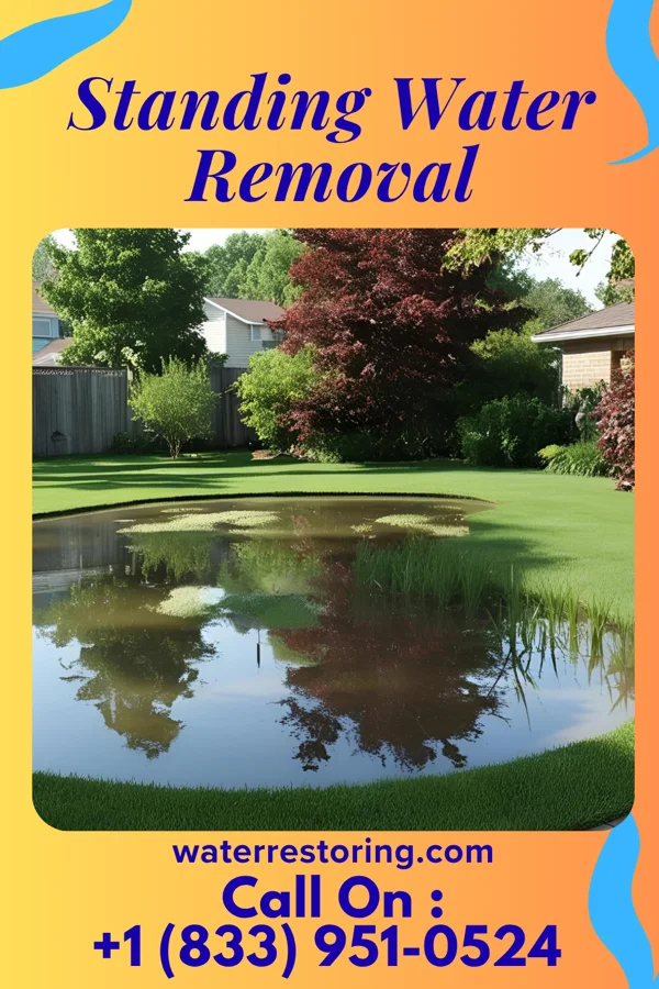 Standing Water Removal in Stevensville, MI
